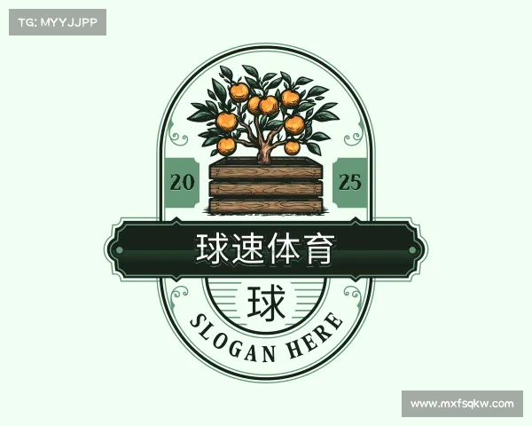 认识球速体育官方登录